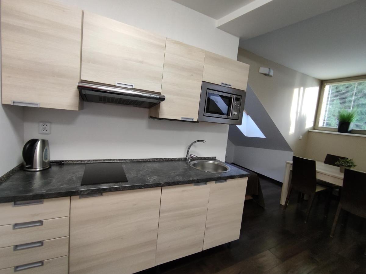 Horsky Apartman C303: Sauna Wellness & Breakfast in Anenske Valley Harrachov Exterior photo